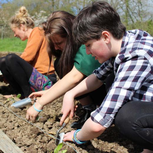 Young people planting